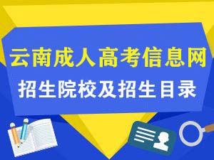 成人高考  成人高考报名 成考咨询 成考网